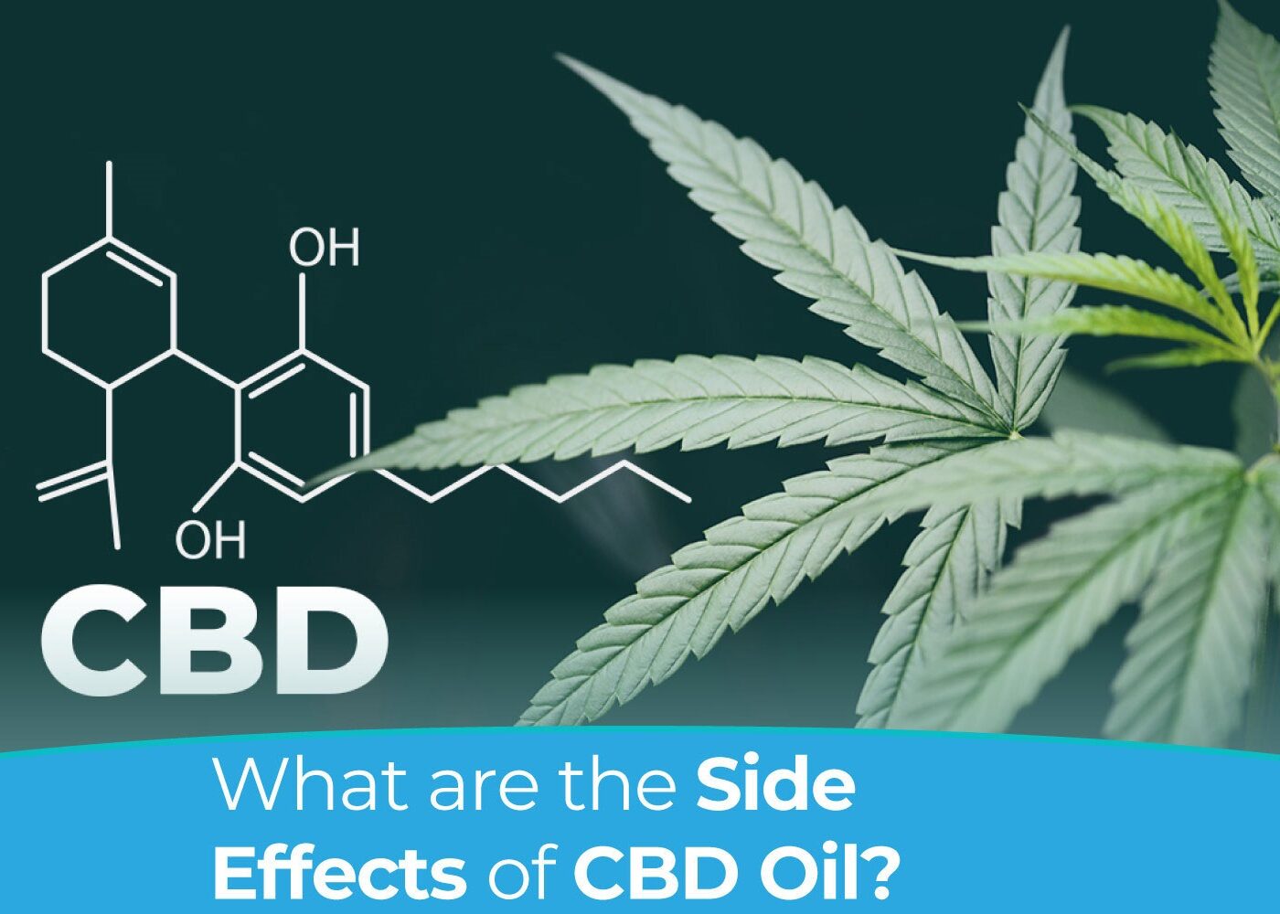Side Effects of CBD Oil